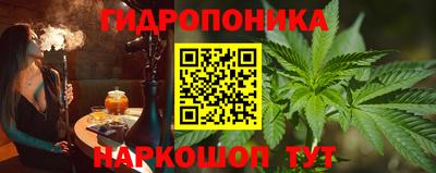 СК Заводоуковск