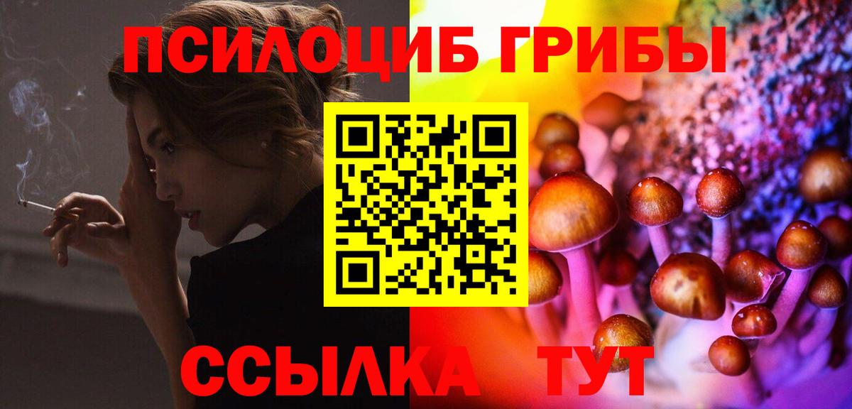Галлюциногенные грибы Psilocybe Мурино