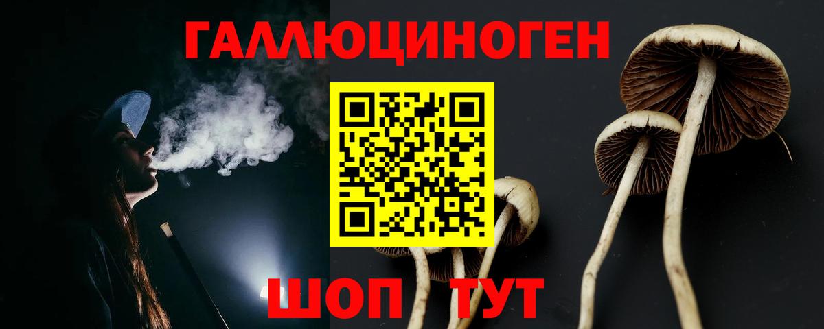 Мурино  Псилоцибиновые грибы Magic Shrooms  наркота  Вход с VPN 